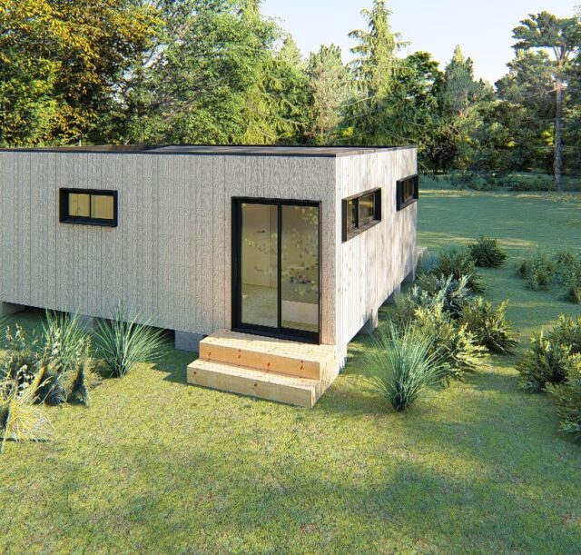 vector3WhatsApp Image 2025-01-21 at 15.03.49fsdtygr